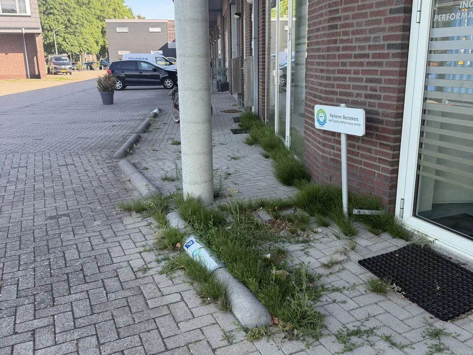 Onkruid tussen bestrating en langs de gevel van een bedrijfspand