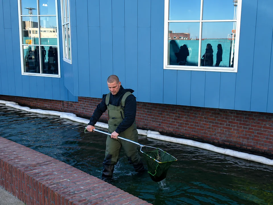 Medewerker schept vuil uit de waterpartij bij een gebouw